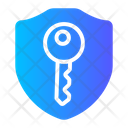 Security Key Icon