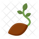 Seed  Icon