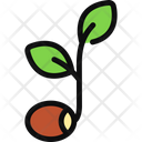 Seed  Icon