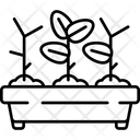 Seedking Tray Symbol