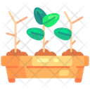 Seedking Tray Symbol