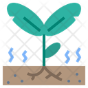 Seedling Sprout Growth Icon