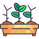 Seedling Tray Symbol