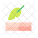 Sensitive Skin  Icon