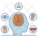 Sensory Activities Sensation Brain Response Icon