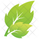 Serrated Leaf Logo Leaves Leaves Logo Icon