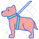Service Dog Icon