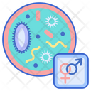 Sexually Transmitted Infections Sex Couple Icon
