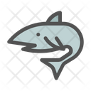 Shark Predator Ocean Icon