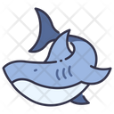 Ocean Water Shark Icon