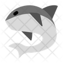 Shark Icon
