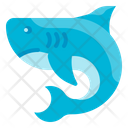Shark Fish Animal Predator Aquatic Icon