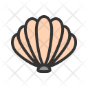 Sea Shell Icon
