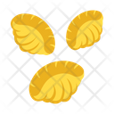 Shells Pasta Icon
