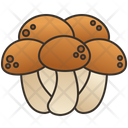 Shimeji Mushroom Brown Icon