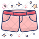 Short Knickers Underpants Icon