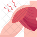 Shoulder  Icon
