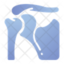 Shoulder bone Icon