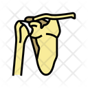Shoulder Bone Icon
