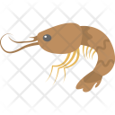 Shrimp Icon