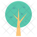 Tree Forest Ecology Icon