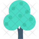 Cypress Tree Shrub Icon