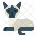 Siamese Cat  Icon