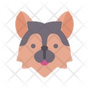 Siberian Husky Icon