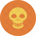 Signs Skull Dangerous Icon