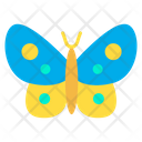 Silk Butterfly Icon
