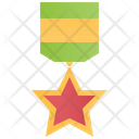 Silver Star Medal Icon