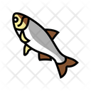 Silver Carp Fish Icon