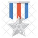 Silver Medal Award Medal Icon