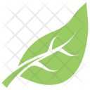 Shape Simple Botanical Icon