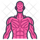 Sinews muscle Icon
