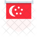 Singapore Flag South Africa Icon