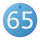 Sixty Five Coin Crystal Icon