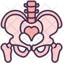 Skeletal System Organ Skeleton Icon