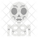 Skeleton Anatomy Bones Icon