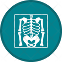 Skeleton Bones Medical Icon