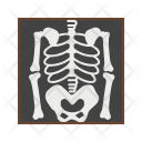 Skeleton Halloween Death Icon