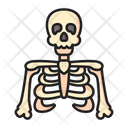 Skeleton Body Part Bones Icon