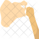 Skeleton  Icon