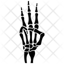 Skeleton Hand  Icon