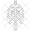 Skeleton Ribs Icon