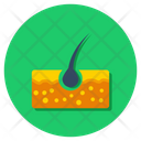 Skin Hair Epidermis Icon