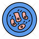 Skin Cell  Icon