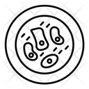 Skin Cell  Icon