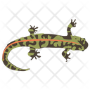 Skink Reptile Geckos Icon