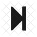 Skip  Icon